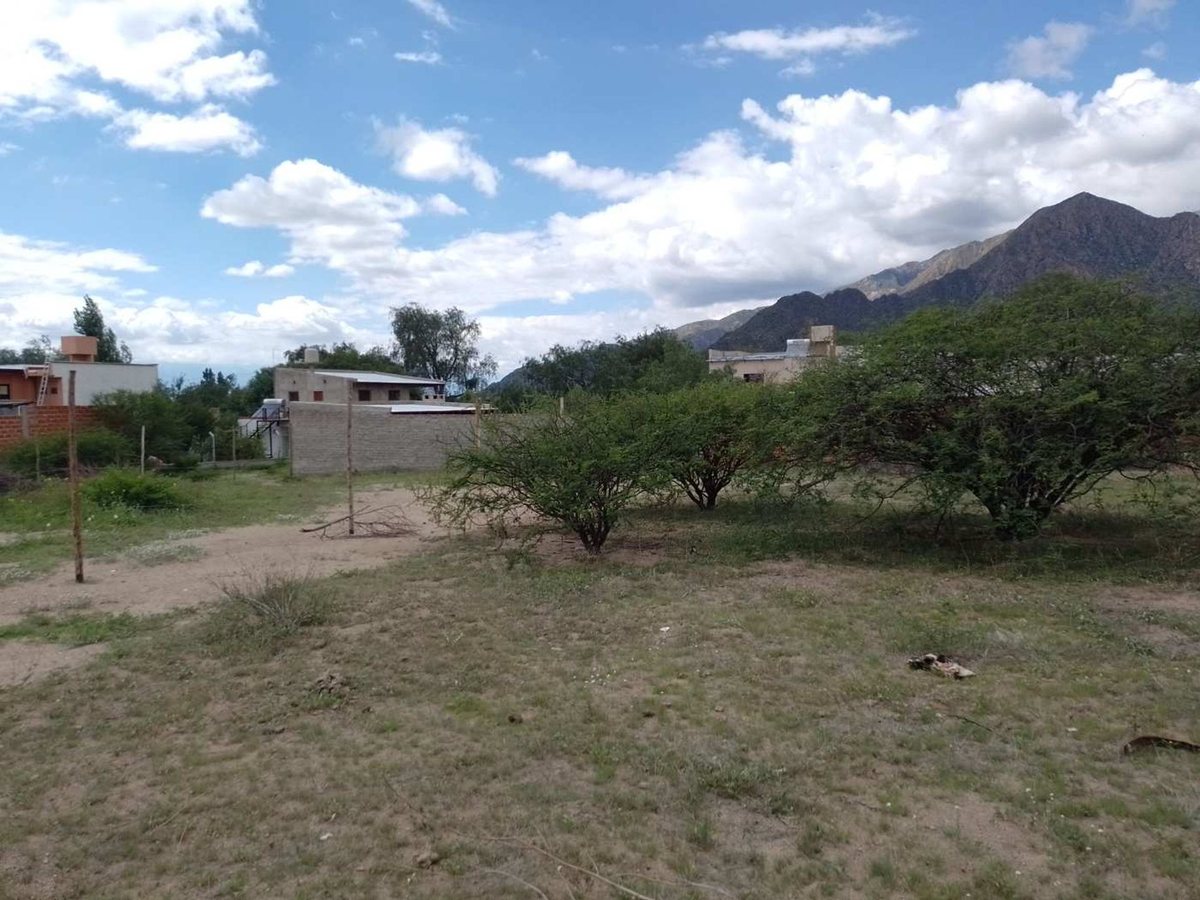 TERRENOS VENTA 300 MT2 PASEO LAS VIÑAS CAFAYATE - foto 8