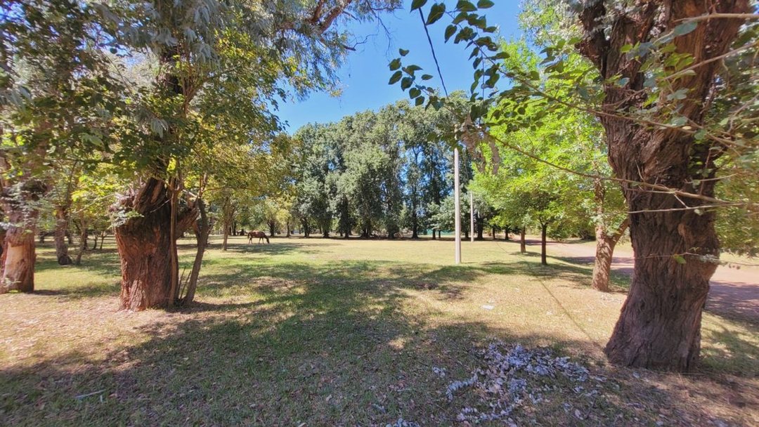 Lote 458m2 en Venta ALTO LOS ROBLES - Ibarlucea