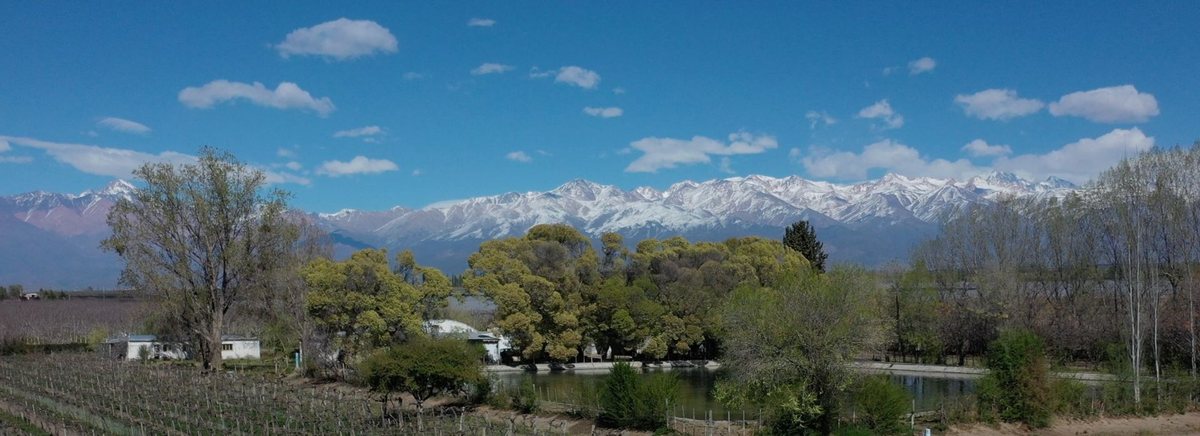 Terreno en Ruta Provincial 99 0