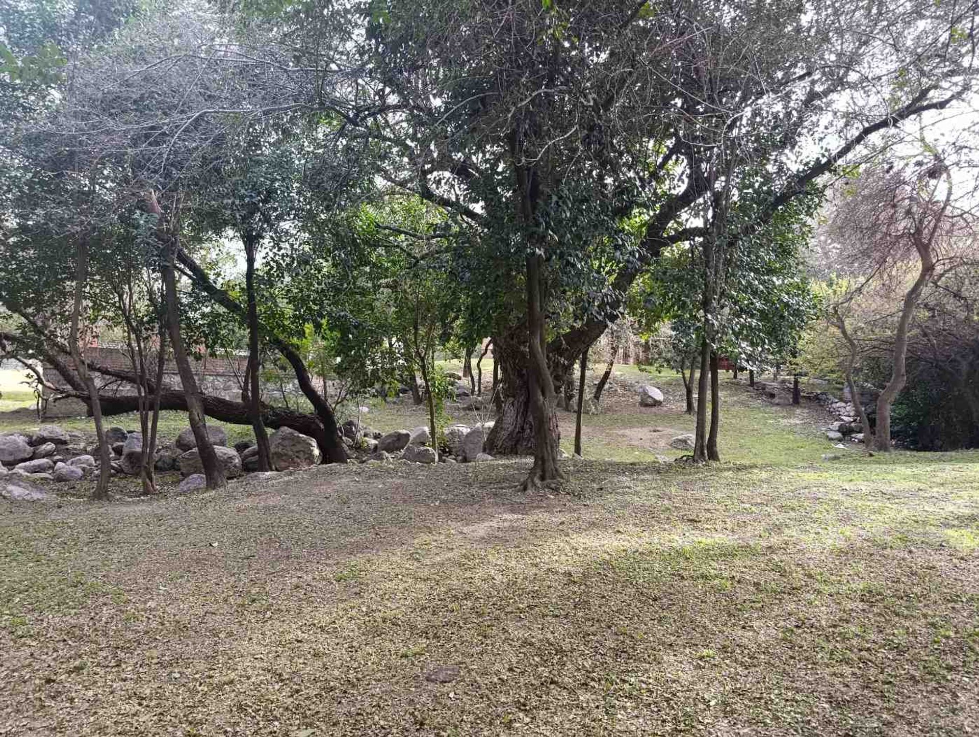 Foto 37 — Cabañas Dos Venados en venta