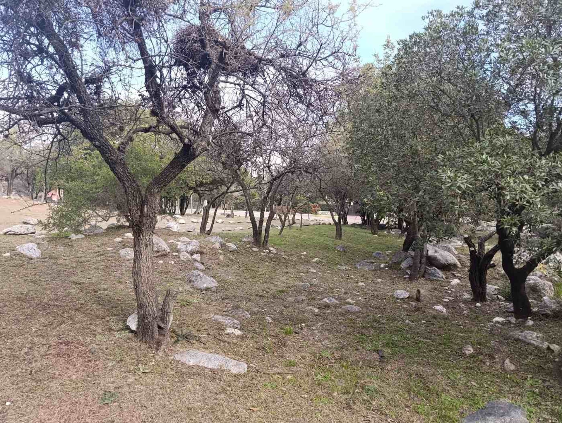 Foto 33 — Cabañas Dos Venados en venta