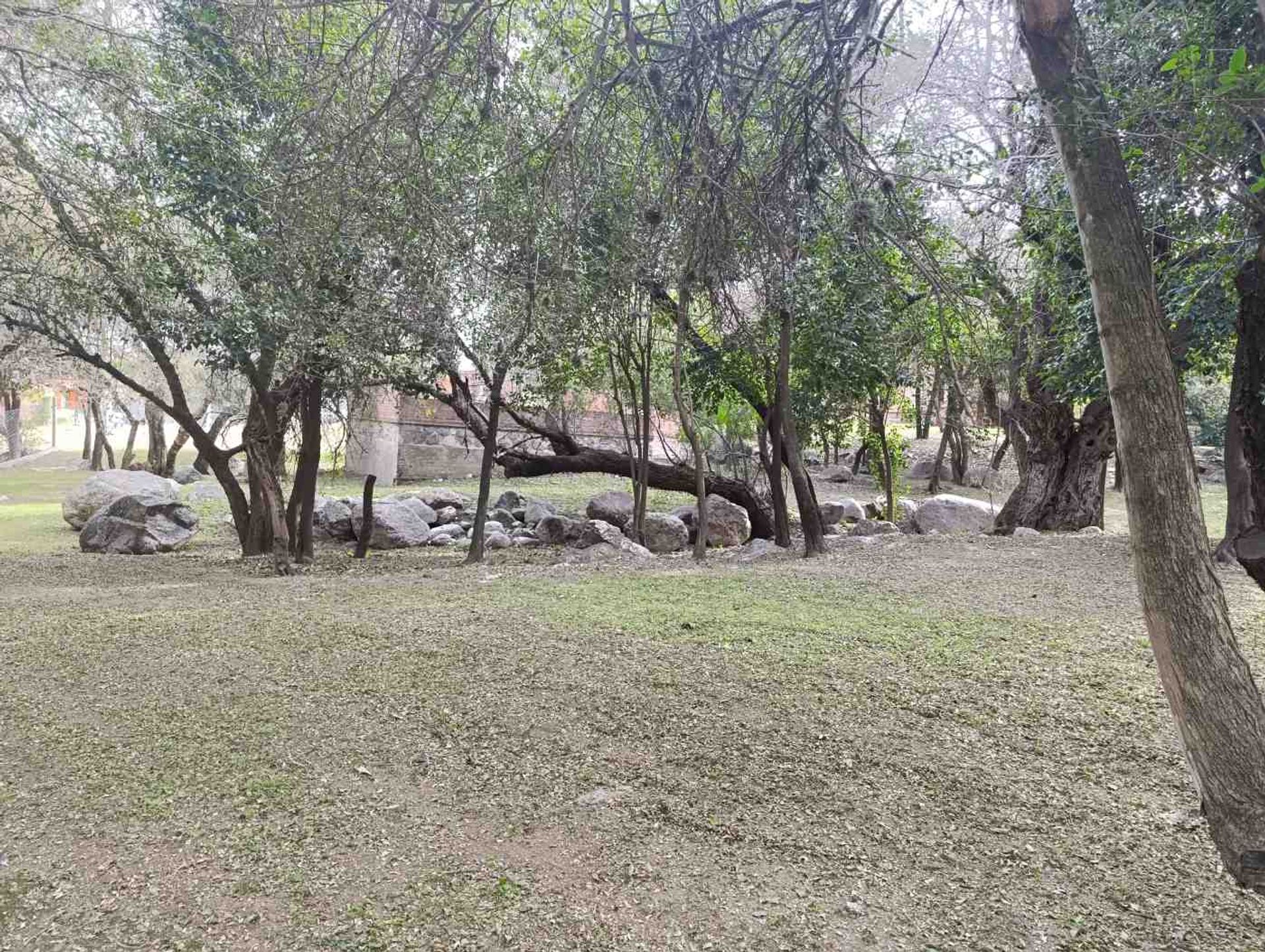 Foto 36 — Cabañas Dos Venados en venta