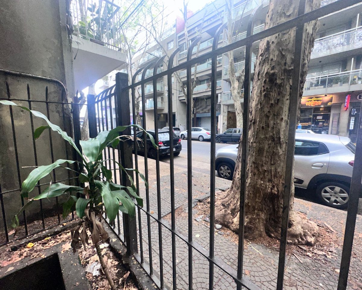Foto 15 — ALQUILER LOCAL COMERCIAL 700MTS