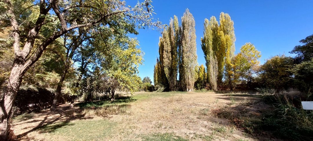 VENTA LOTE CON VIÑEDO MENDOZA  LUJAN DE CUYO PERD