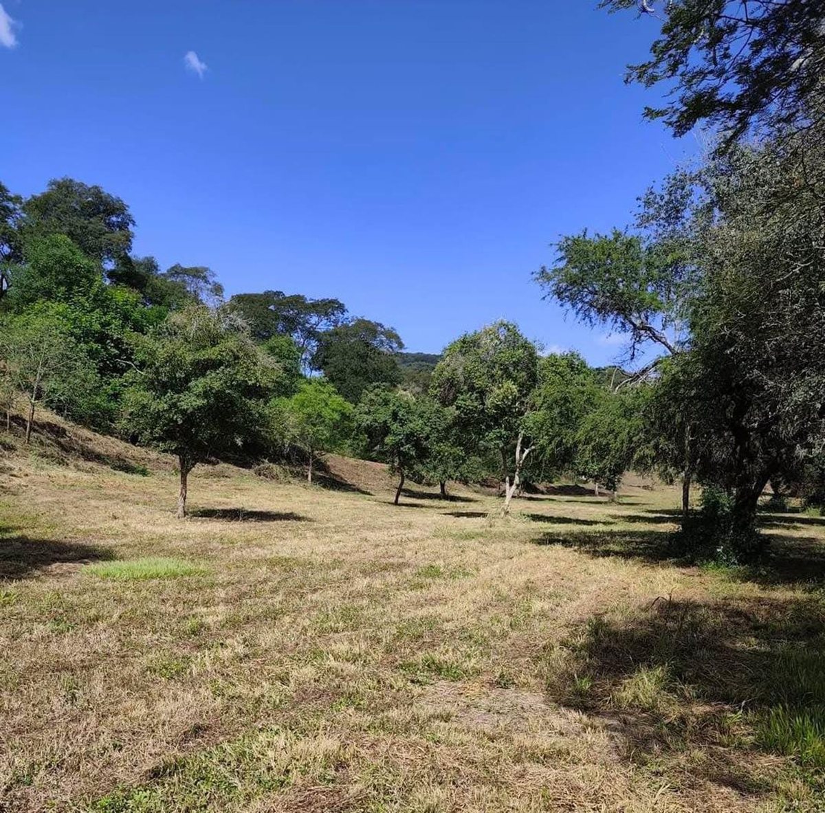 TERRENO VENTA EN LAS CAÑADAS ACCESO NORTE 1224 M2 - foto 3