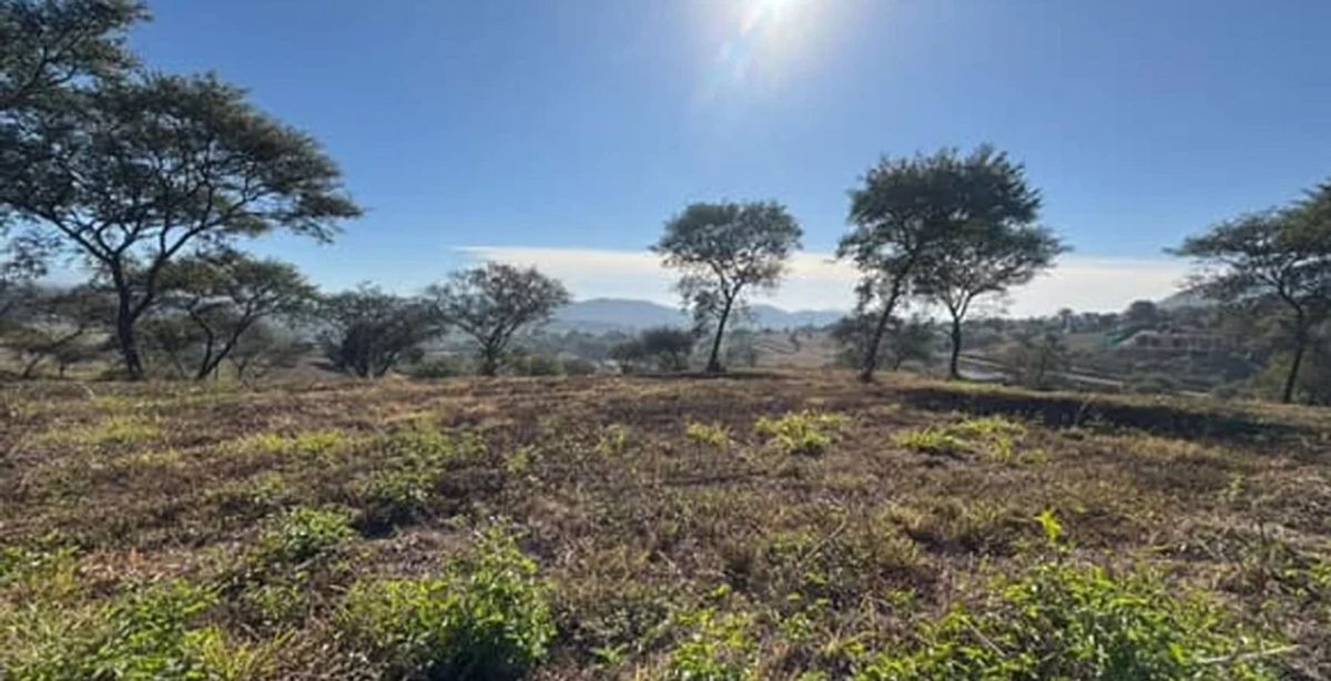 TERRENO VENTA EN LAS CAÑADAS ACCESO NORTE 1224 M2 - foto 2