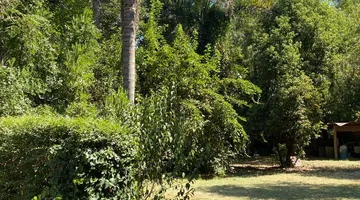 VENTA LOTE + 2 VIVIENDAS A RECICLAR, MATHEU