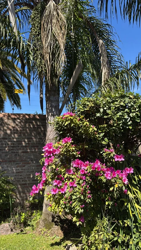 Casa en venta en El Palomar, foto 4