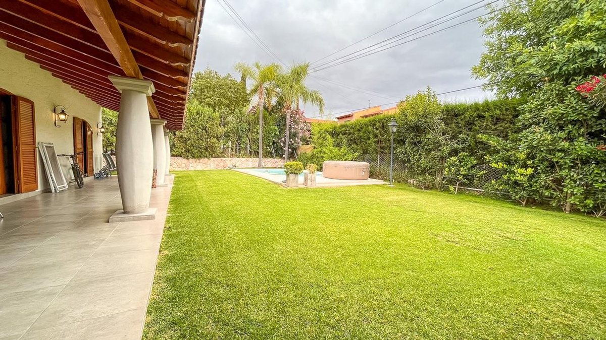 Imagen 4