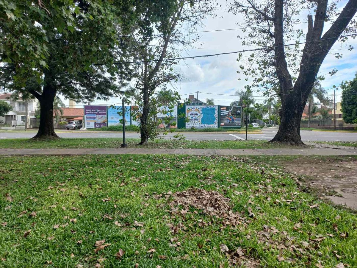 Foto 6 — Venta de lote Sobre Costanera Santafecina