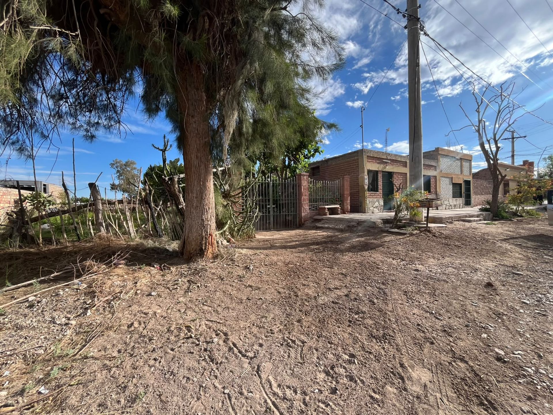 Imagen 31