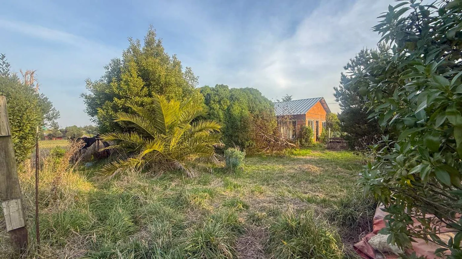 Casa en venta en Mar del Plata, foto 5