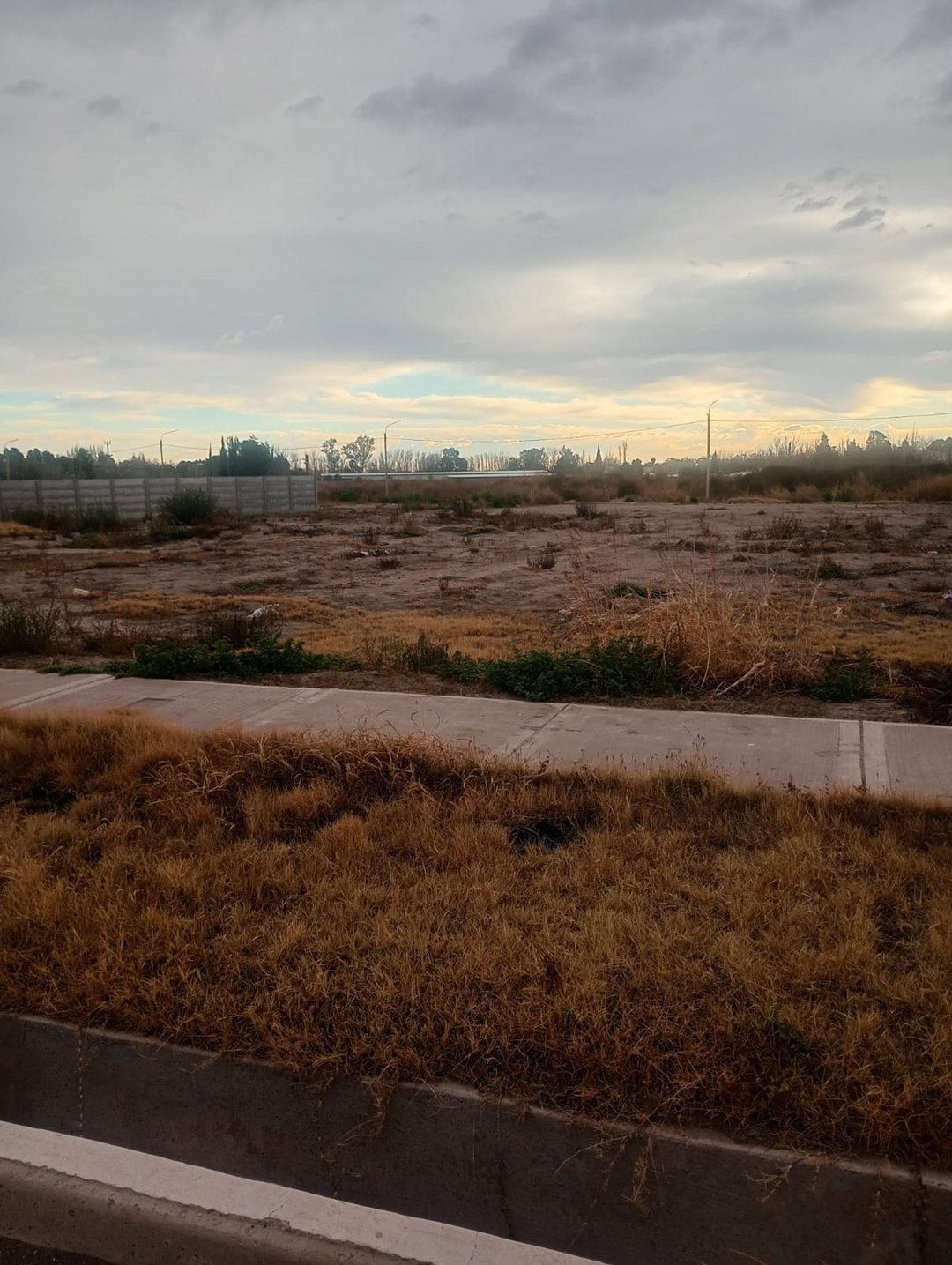 TERRENO EN VENTA B° NATANIA 44 | 250 m²