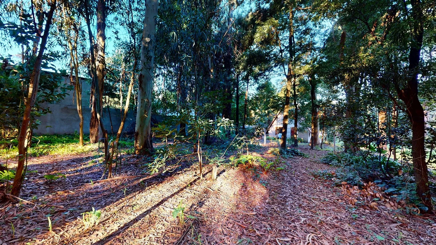 Casa en venta en Mar del Plata, foto 2