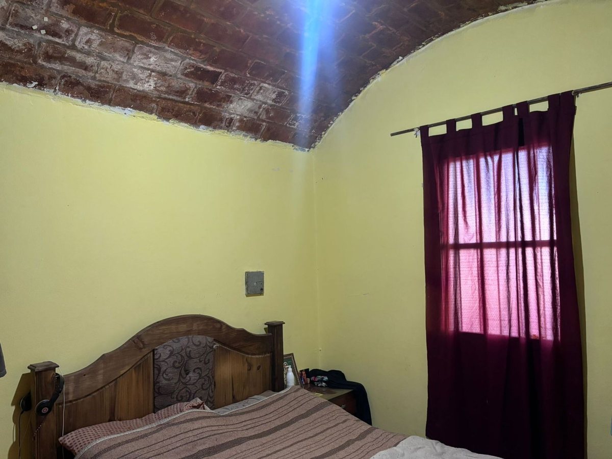 Imagen 7