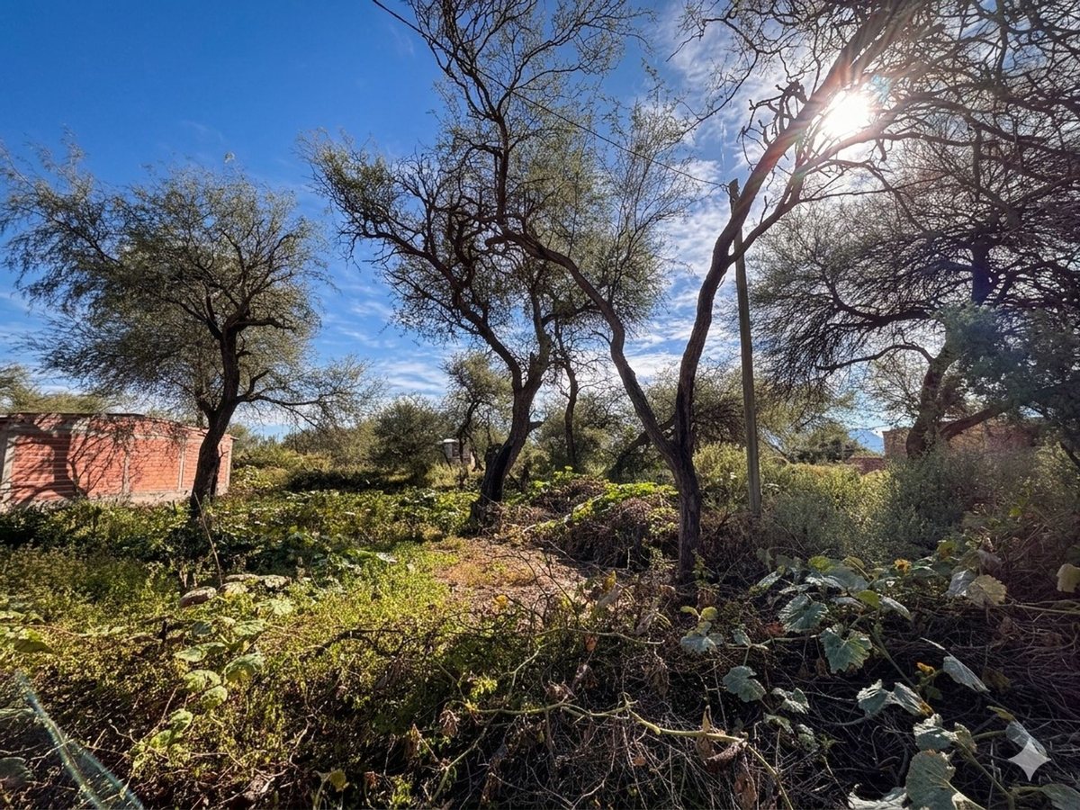 TERRENO EN VENTA PUEBLO NUEVO CAFAYATE 300M2 - foto 3