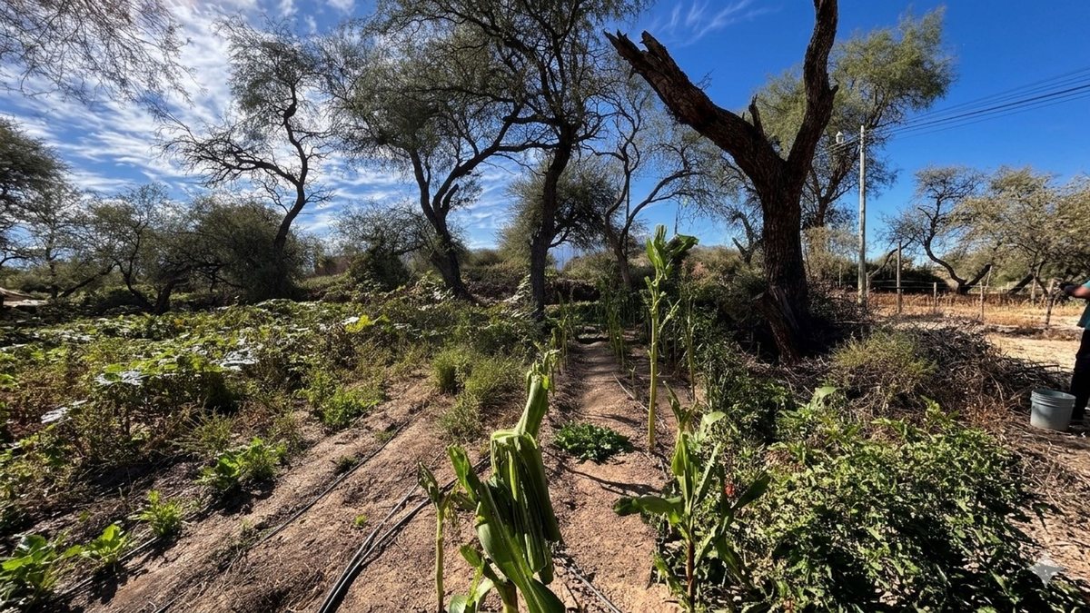 TERRENO EN VENTA PUEBLO NUEVO CAFAYATE 300M2 - foto 4