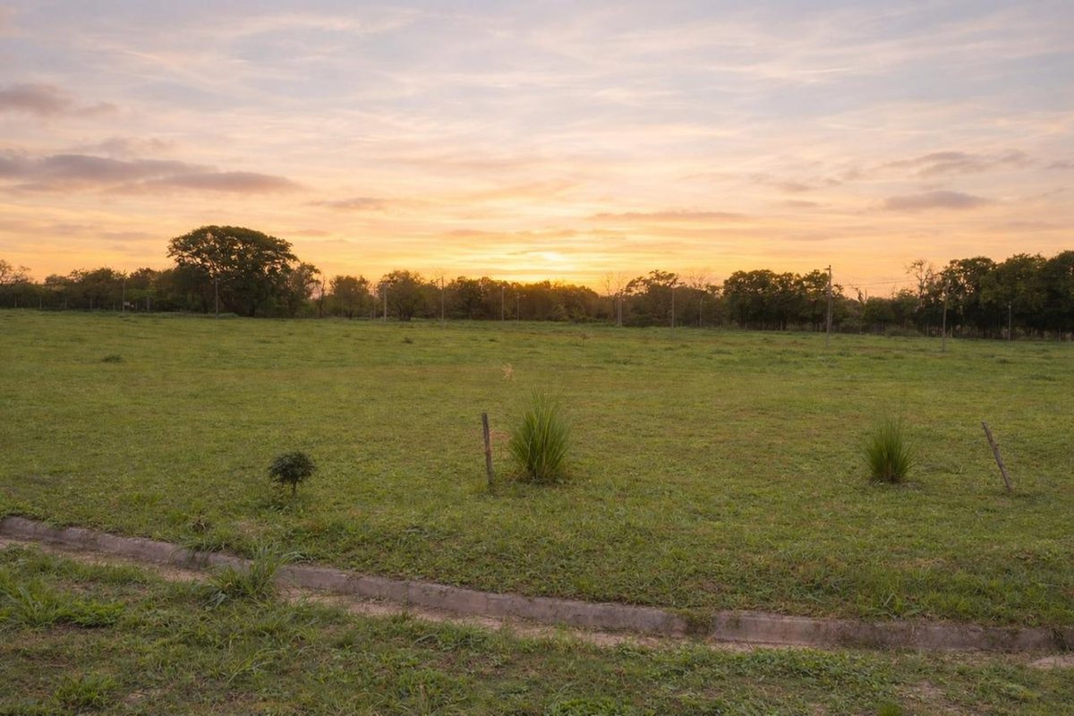 TERRENO VENTA PORTAL DE LOS CERRILLOS LOTE 1 - foto 3