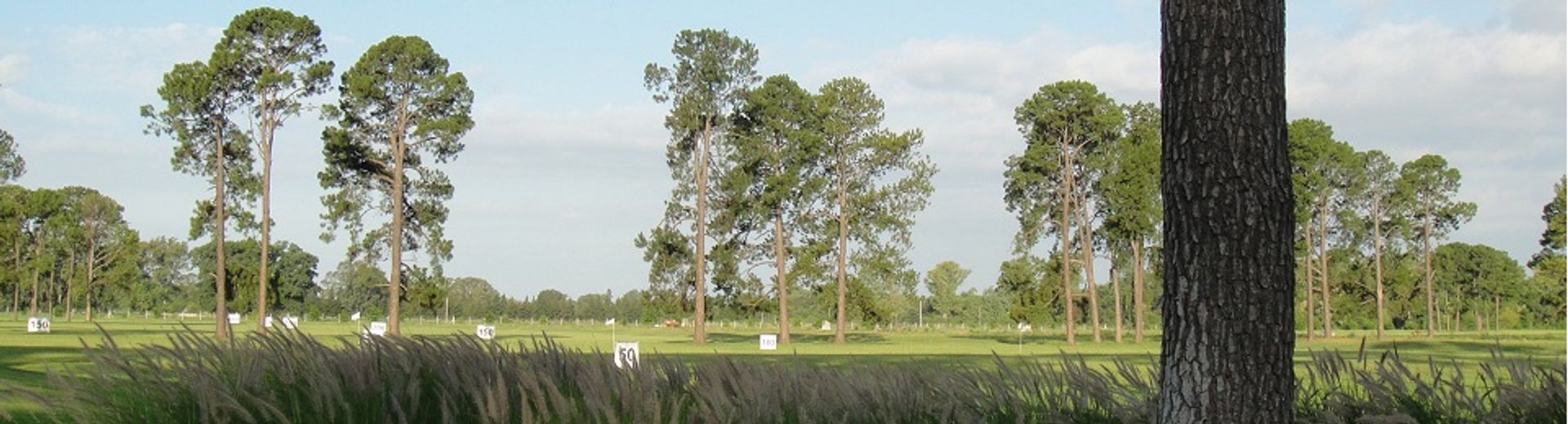 Foto 6 — VENTA LOTE PINARES COUNTRY CLUB