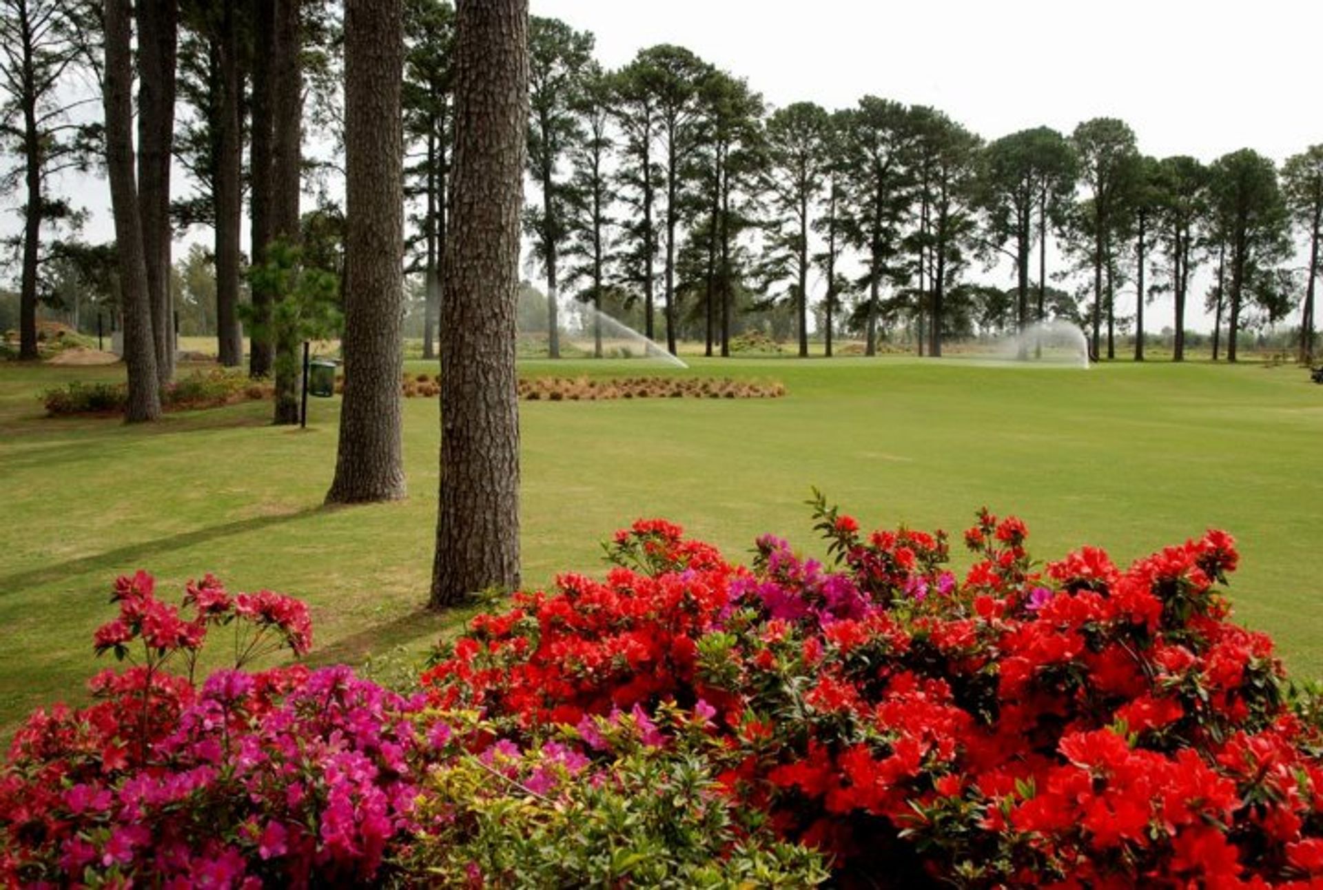 Foto 9 — VENTA LOTE PINARES COUNTRY CLUB