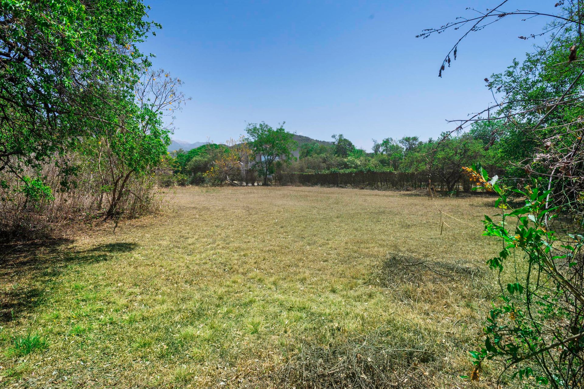 TERRENO VENTA CASTELLANOS SOBRE RUTA APTO COMERCIO - foto 6
