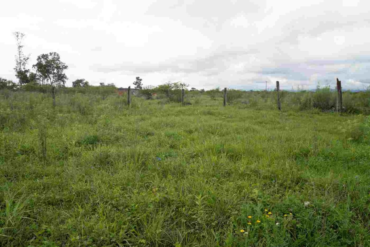 TERRENO EN VENTA O PERMUTA POR VEHICULO C. QUIJANO — foto 4