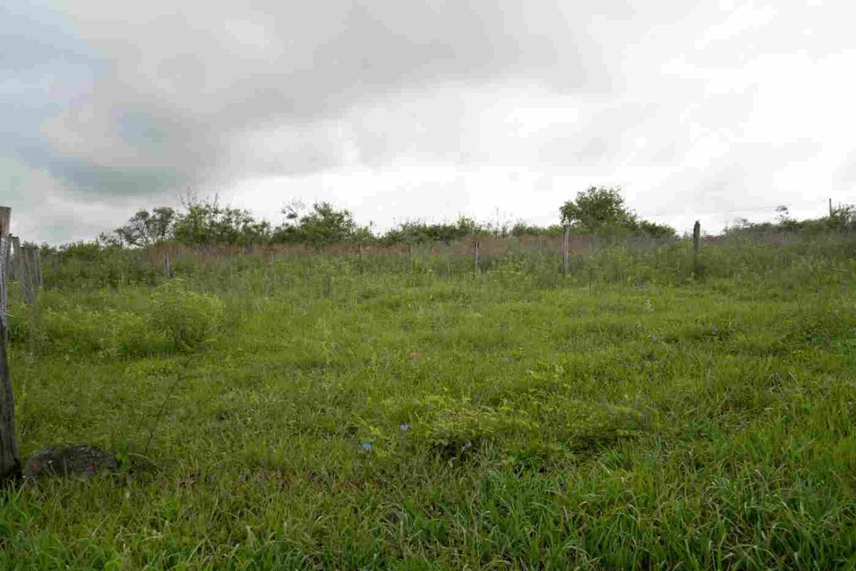 TERRENO EN VENTA O PERMUTA POR VEHICULO C. QUIJANO — foto 2