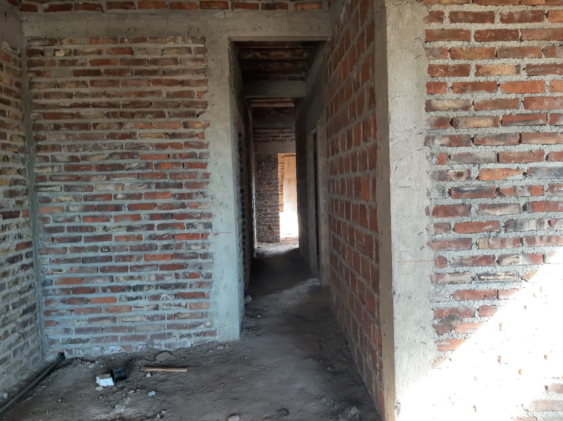 Imagen 11