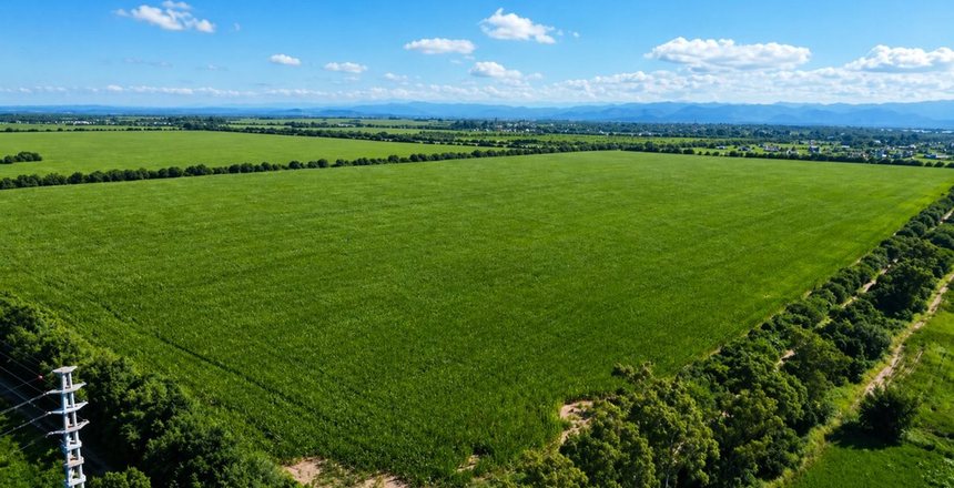 Imagen VENTA TERRENO 31 HECTAREAS IDEAL LOTEO UNQUILLO- Conocé nuestras propiedades