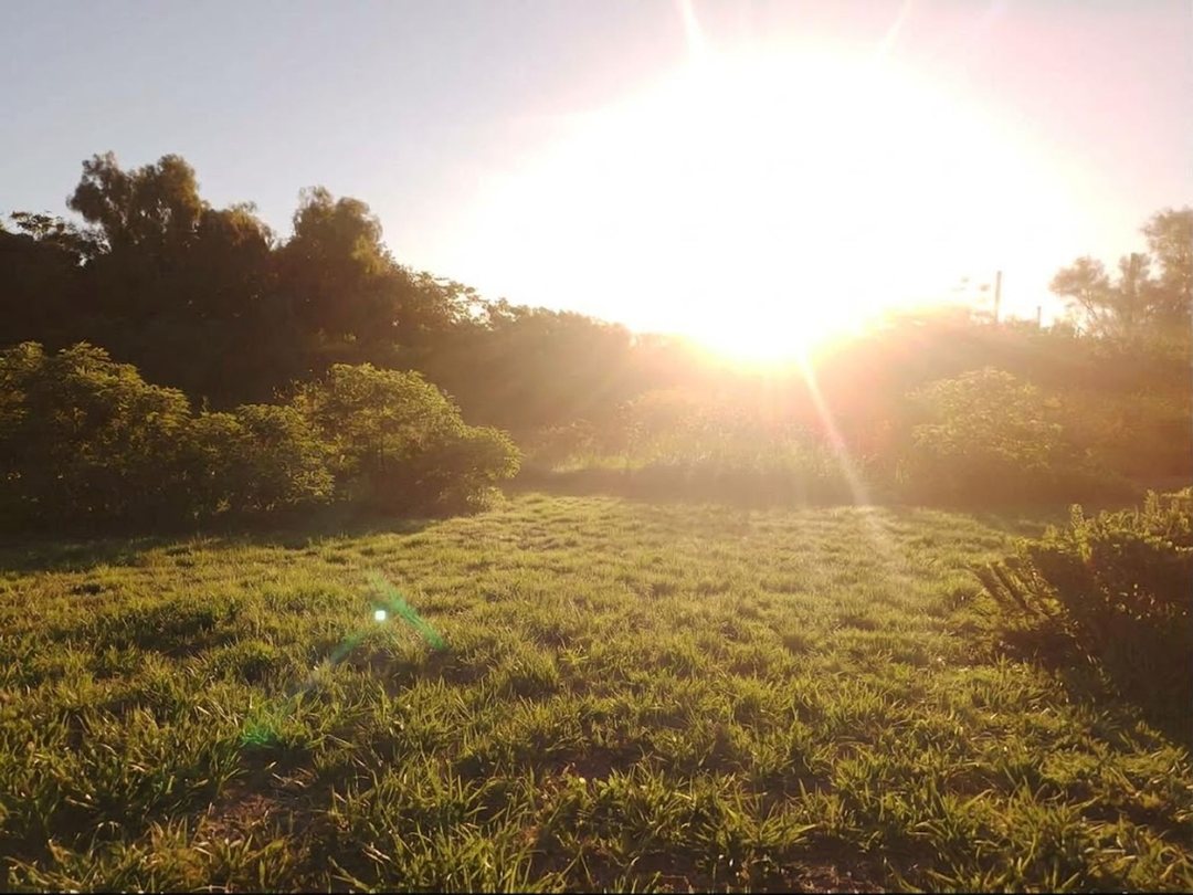 Amplio Terreno de 269 m² con Ingreso Privado