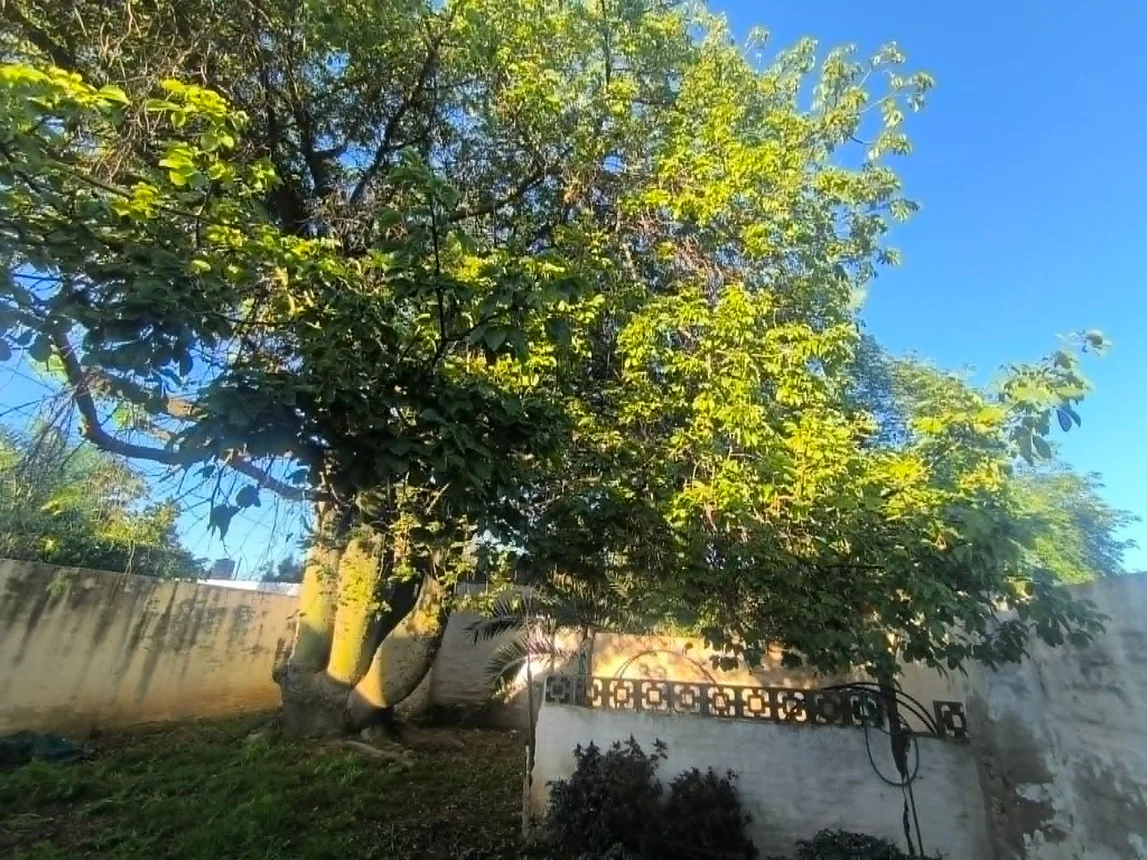 Casa de 7 ambientes en venta en Córdoba, Pasaje Escobedo 2600, foto 4