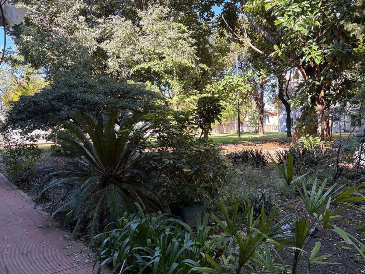 Foto 6 — Venta 3 amb. tipo PH c/jardin/cochera en Flores