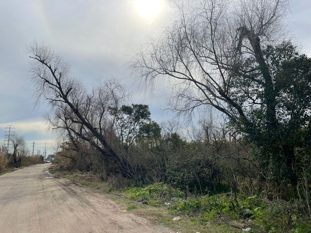 Venta Terreno en Villa Domínico