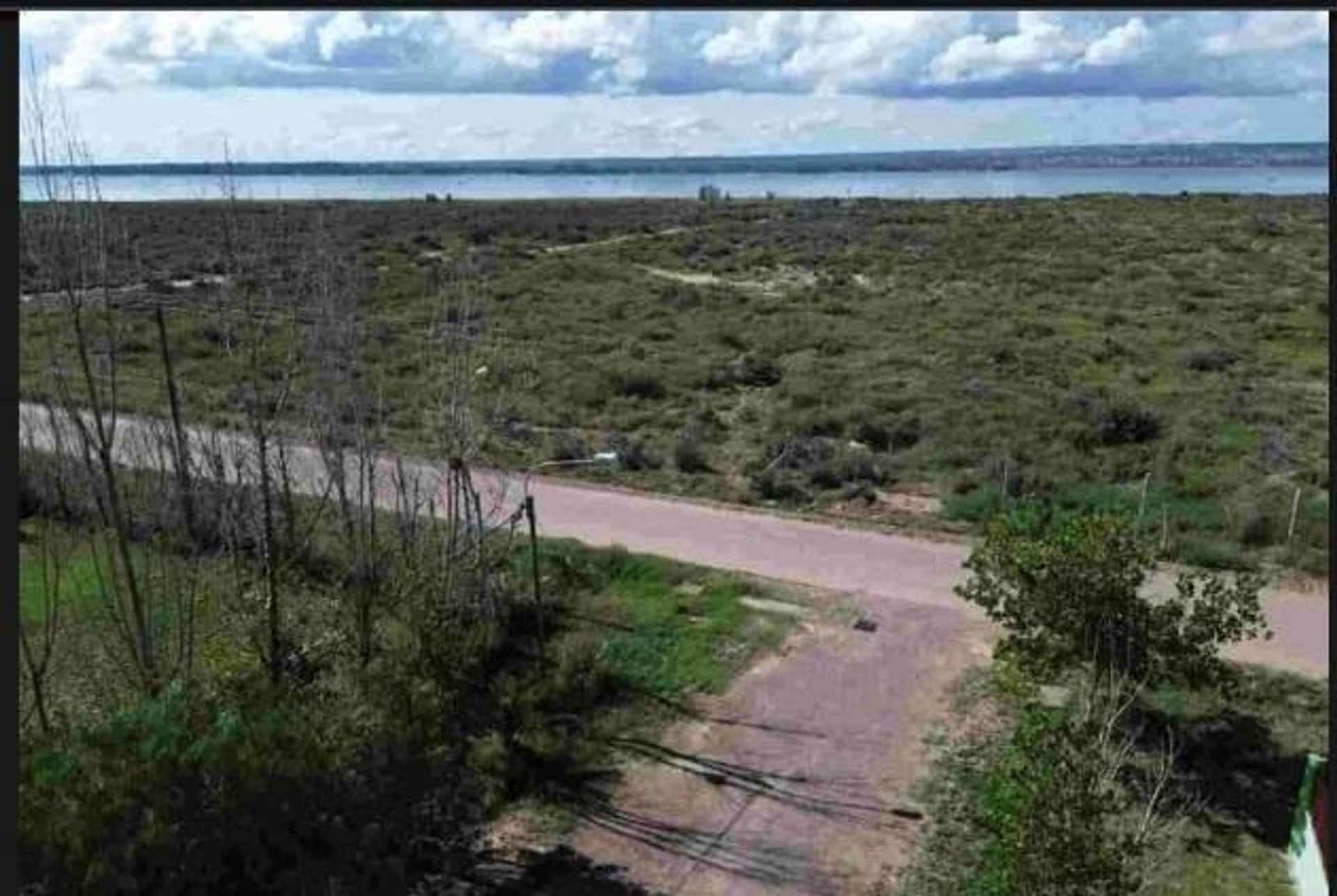 Imagen 2