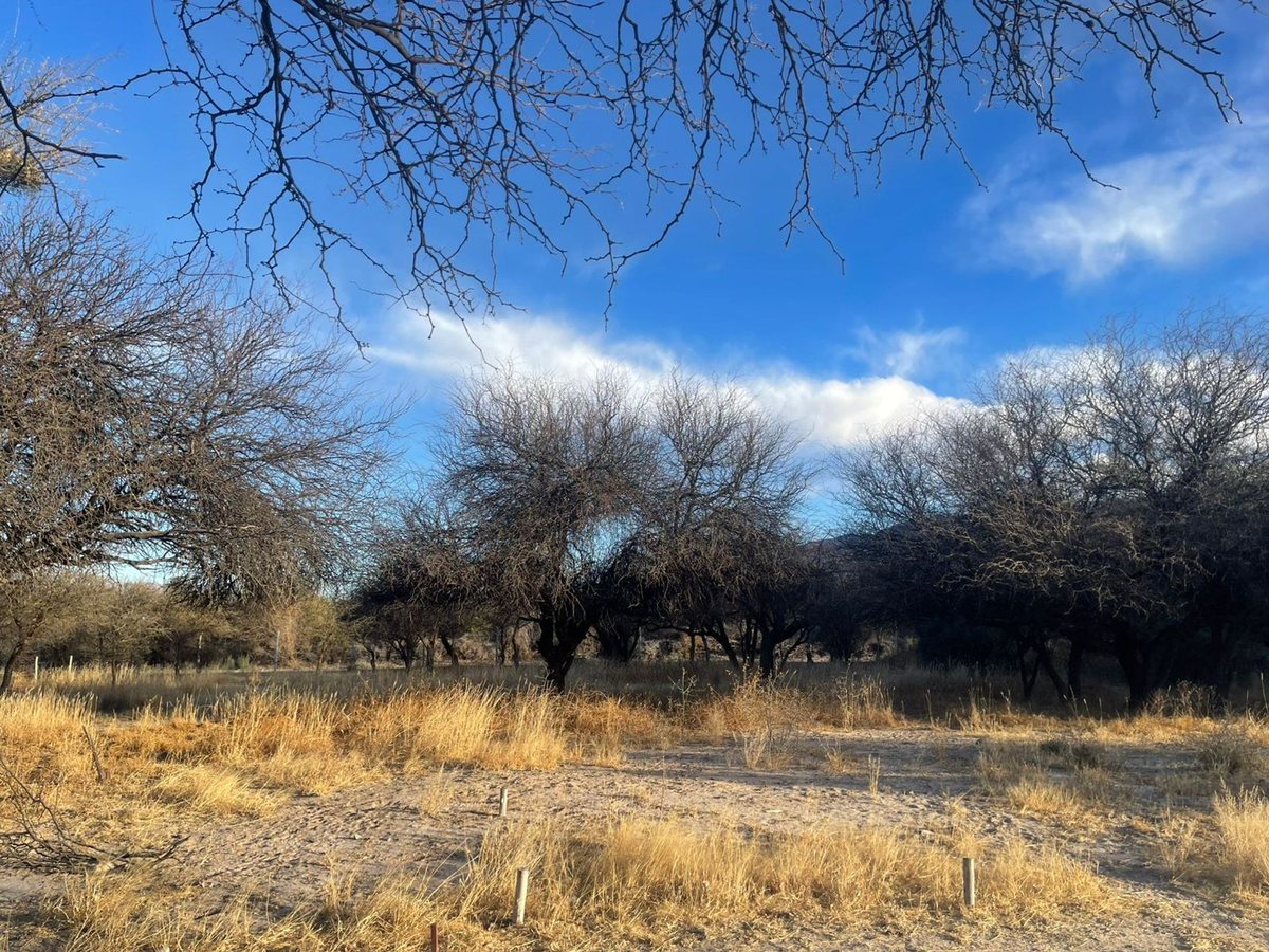 TERRENO EN VENTA BARRIO PRIVADO EL BOSQUE CAFAYATE - foto 6