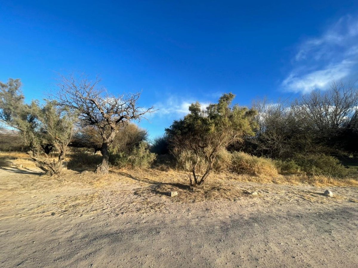 TERRENO EN VENTA BARRIO PRIVADO EL BOSQUE CAFAYATE - foto 4