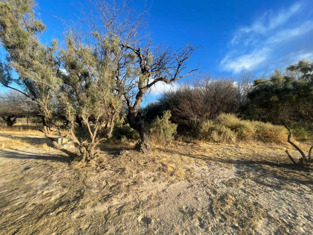 TERRENO EN VENTA BARRIO PRIVADO EL BOSQUE CAFAYATE - foto 2