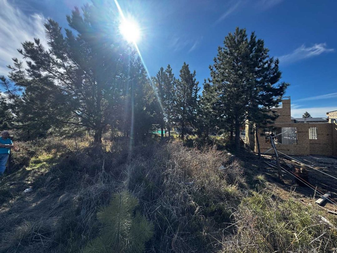 Lote en venta Altos del Este Bariloche – 341 m²