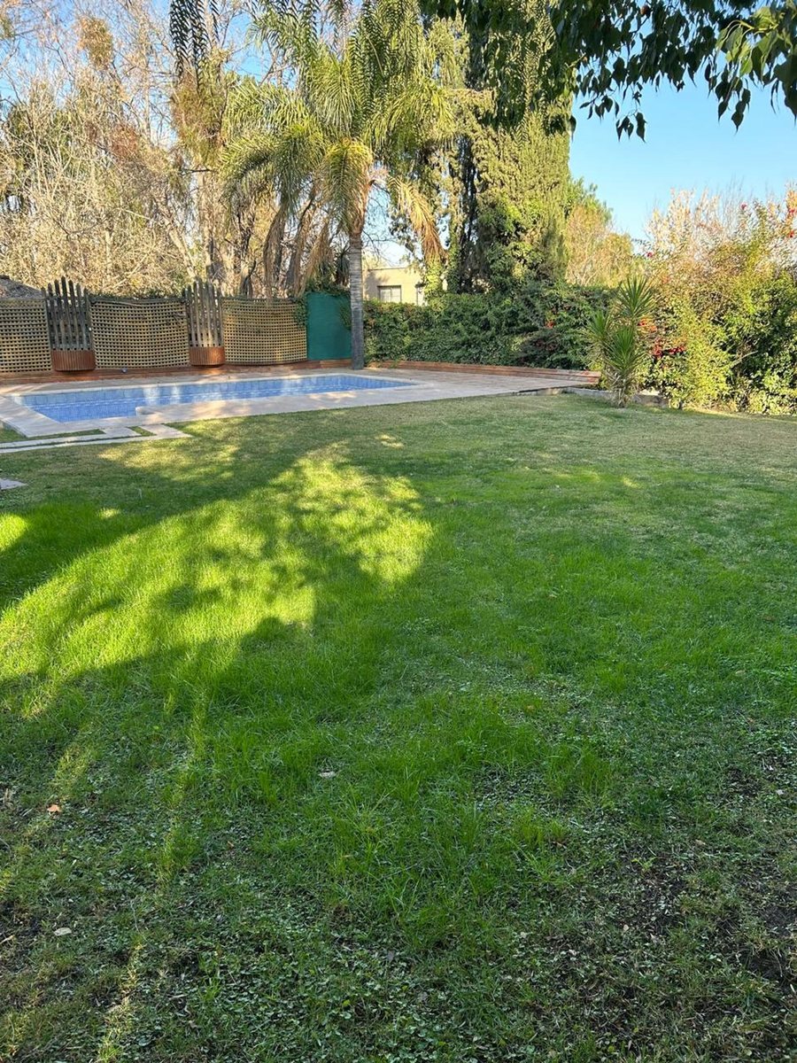 Imagen 6