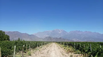 MAGNIFICA FINCA EN VENTA EN ALTAMIRA VALLE DE UCO