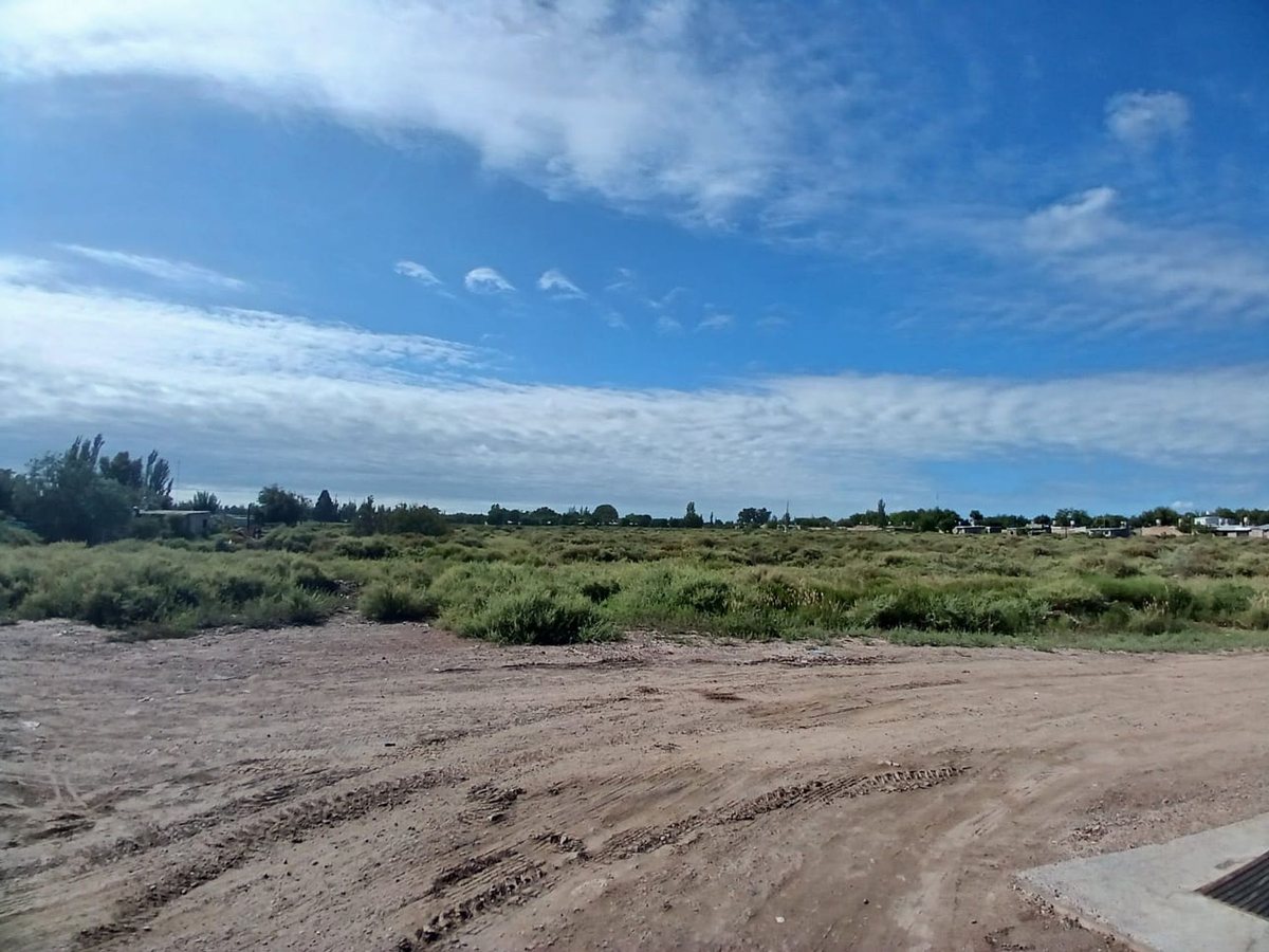 Imagen 2