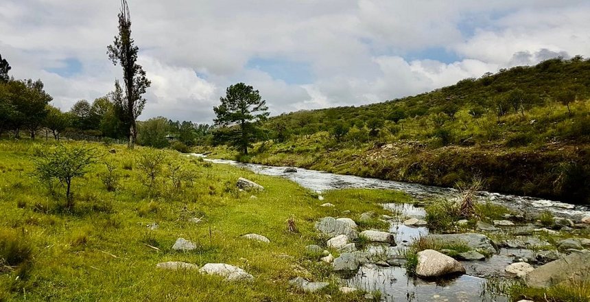 Imagen VENTA DE CAMPO 17 HECTAREAS EN POTRERO DE GARAY- Conocé nuestras propiedades