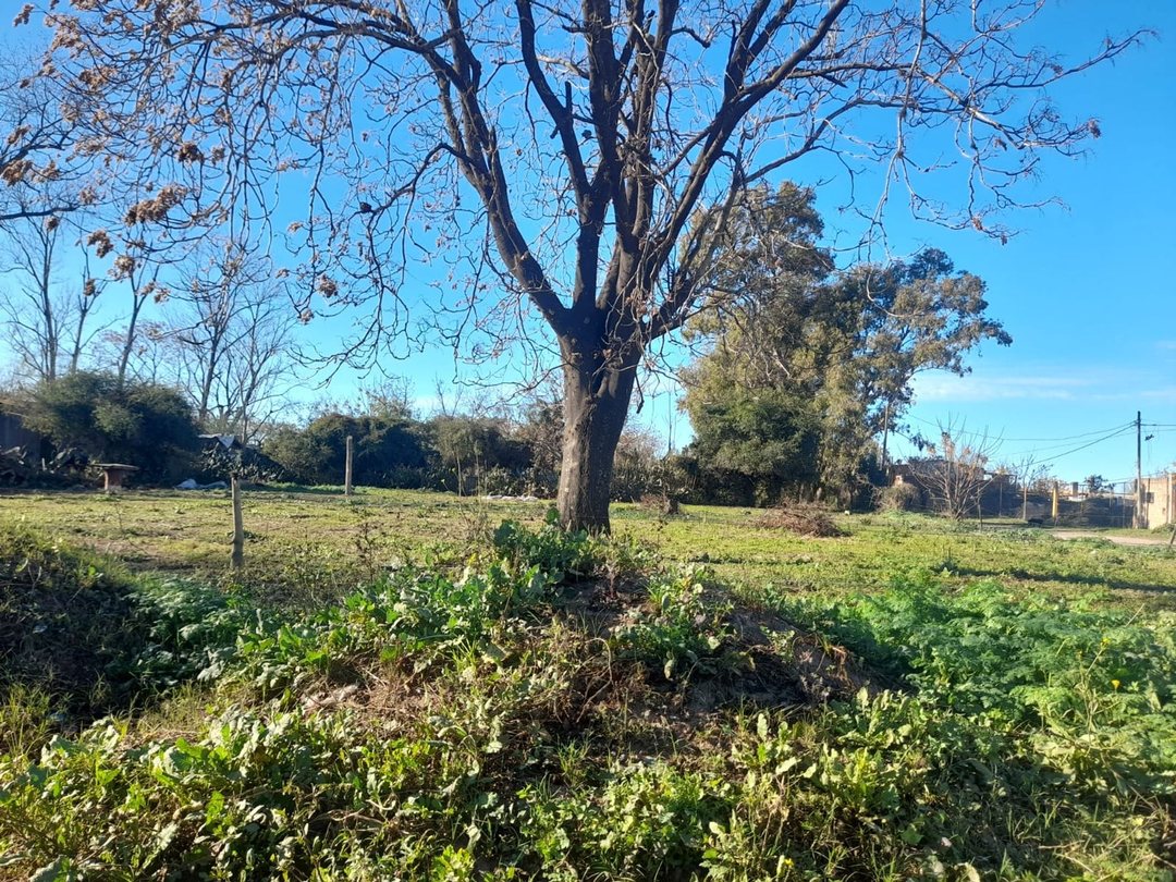 TERRENO EN VENTA EN PERGAMINO ZUVIRIA Y BELTRAN