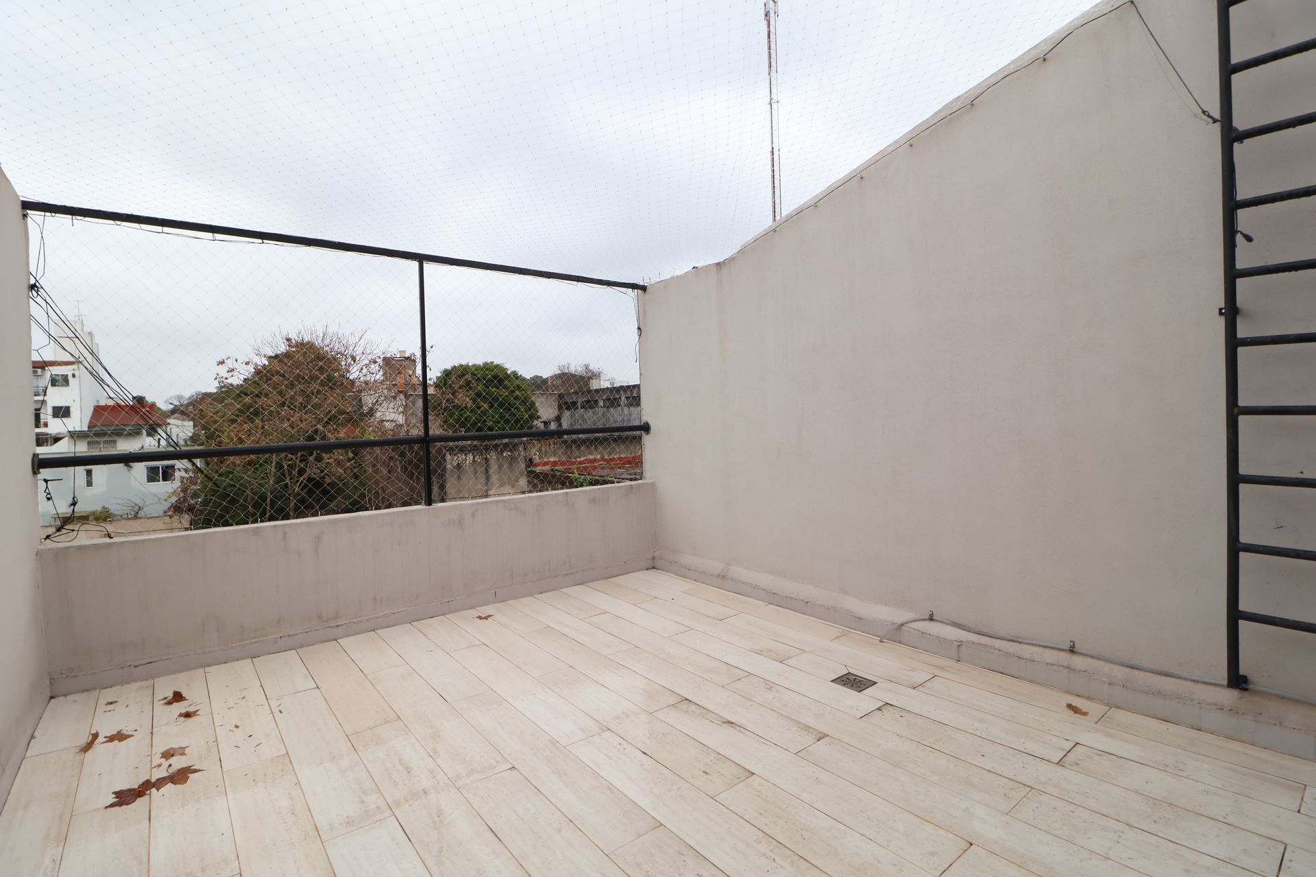 Imagen 11