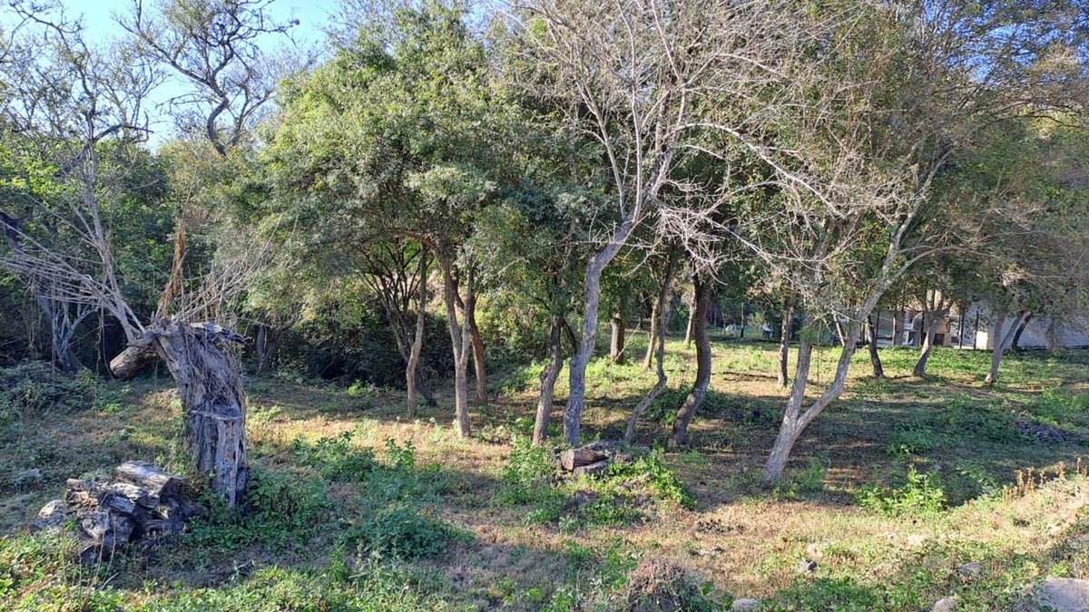 TERRENO VENTA LA MISION LA CALDERA - foto 3