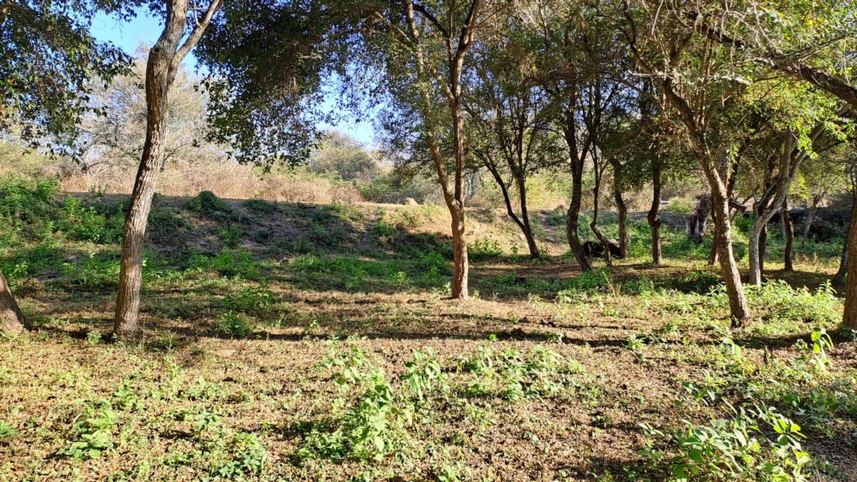 TERRENO VENTA LA MISION LA CALDERA - foto 5