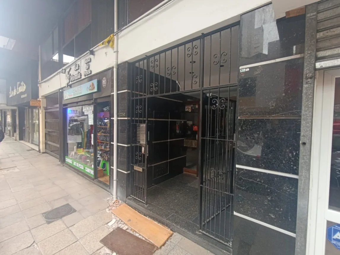 Departamento en venta en Mar del Plata, foto 2