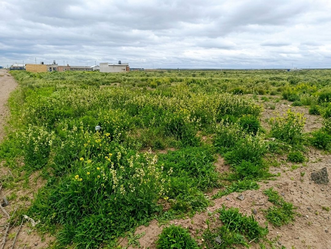 VENTA LOTE EN ESQUINA, MESETA CENTENARIO