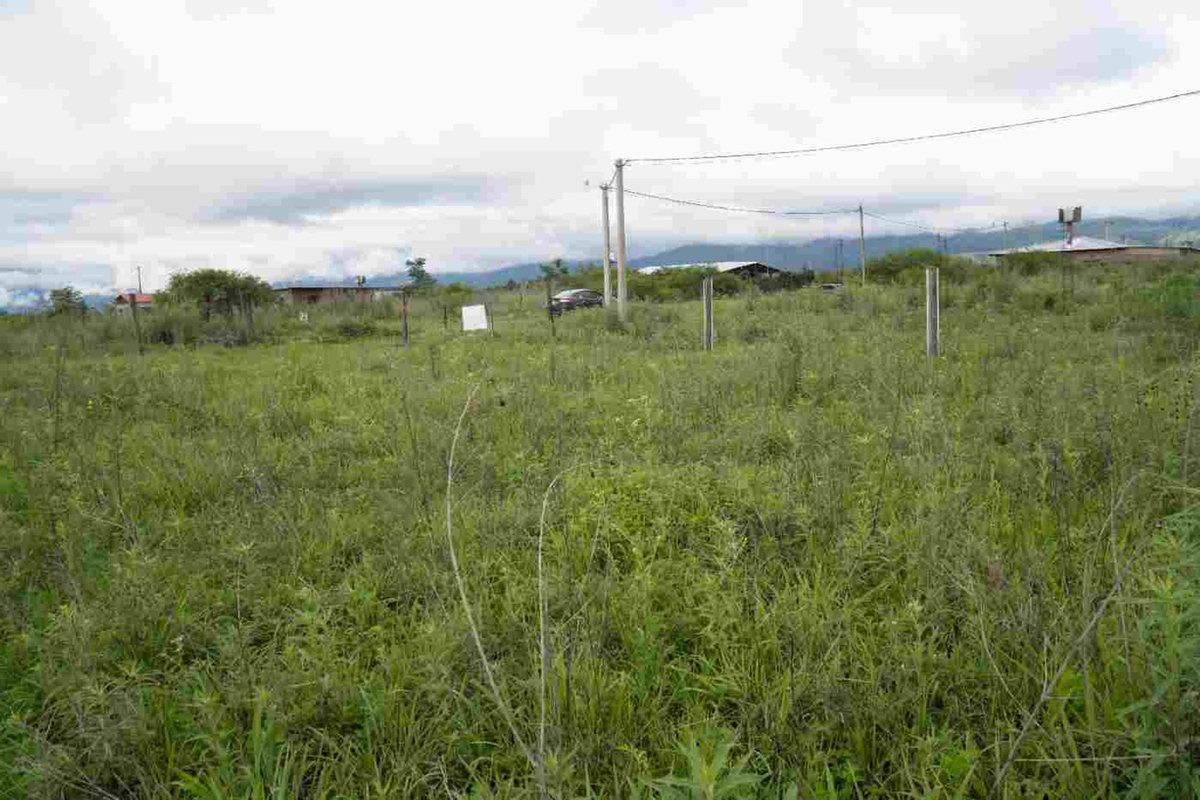 VENTA/PERRMUTA TERRENO CPO QUIJANO ACEPTA VEHICULO - foto 11