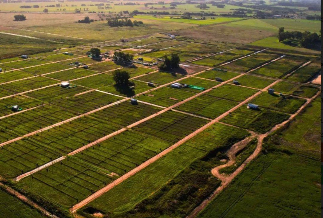 LOTE EN VENTA EN LA RESERVA DEL OESTE ETAPA 2